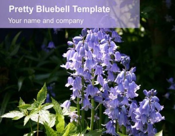 Bluebell powerpoint template