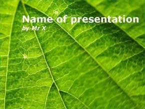 Fern leaf powerpoint design