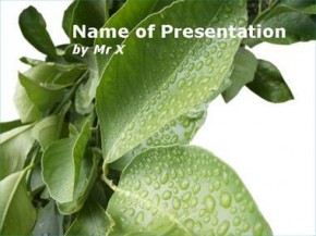 Leafs powerpoint design